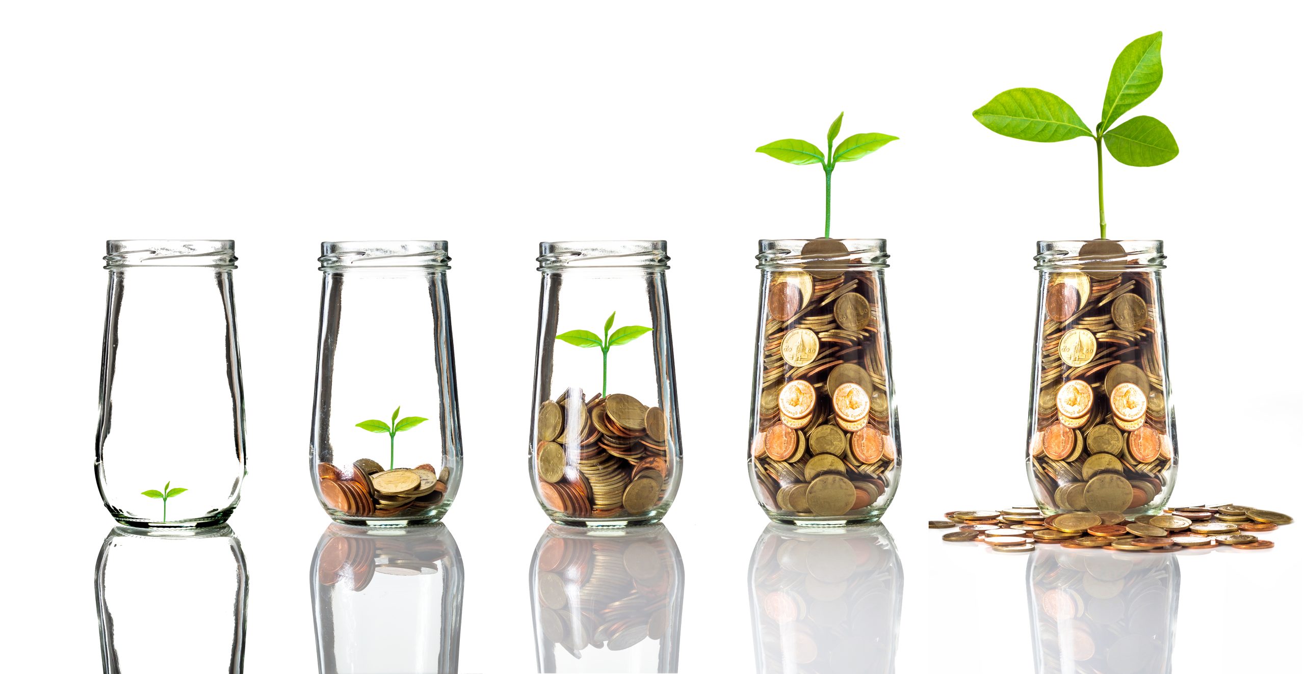 Gold coins and seed in clear bottle on white background,Business investment growth concept